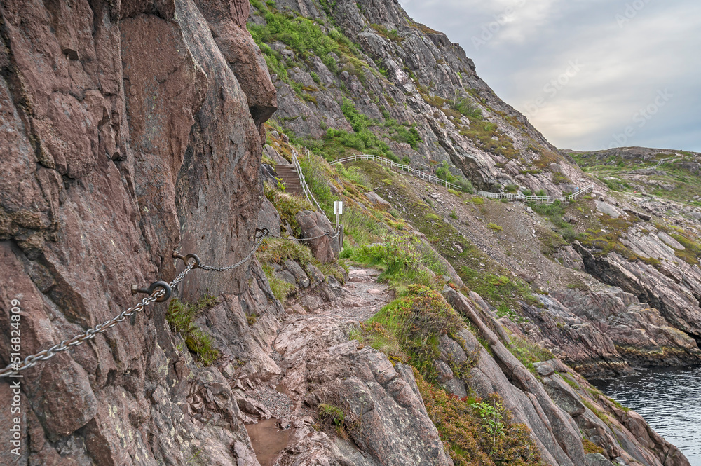 Fototapeta premium Guard rails on the North Head Hiking trail at Signal Hill