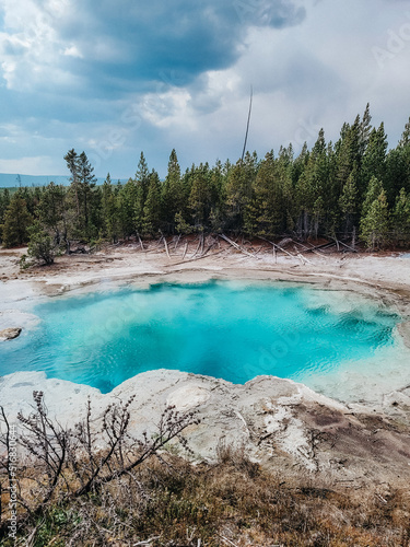 Turquoise hot spring surrounded by trees on an overcast day at Yellowstone National Park