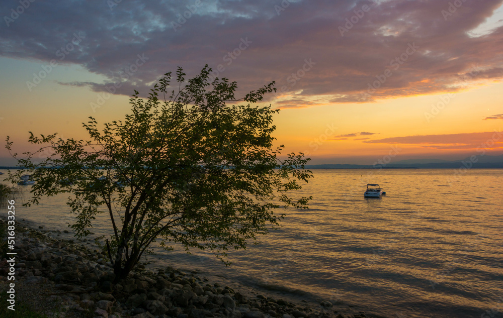 Sunset with a tree on the beach of garda lake