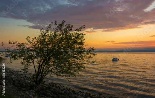 Sunset with a tree on the beach of garda lake © Luca