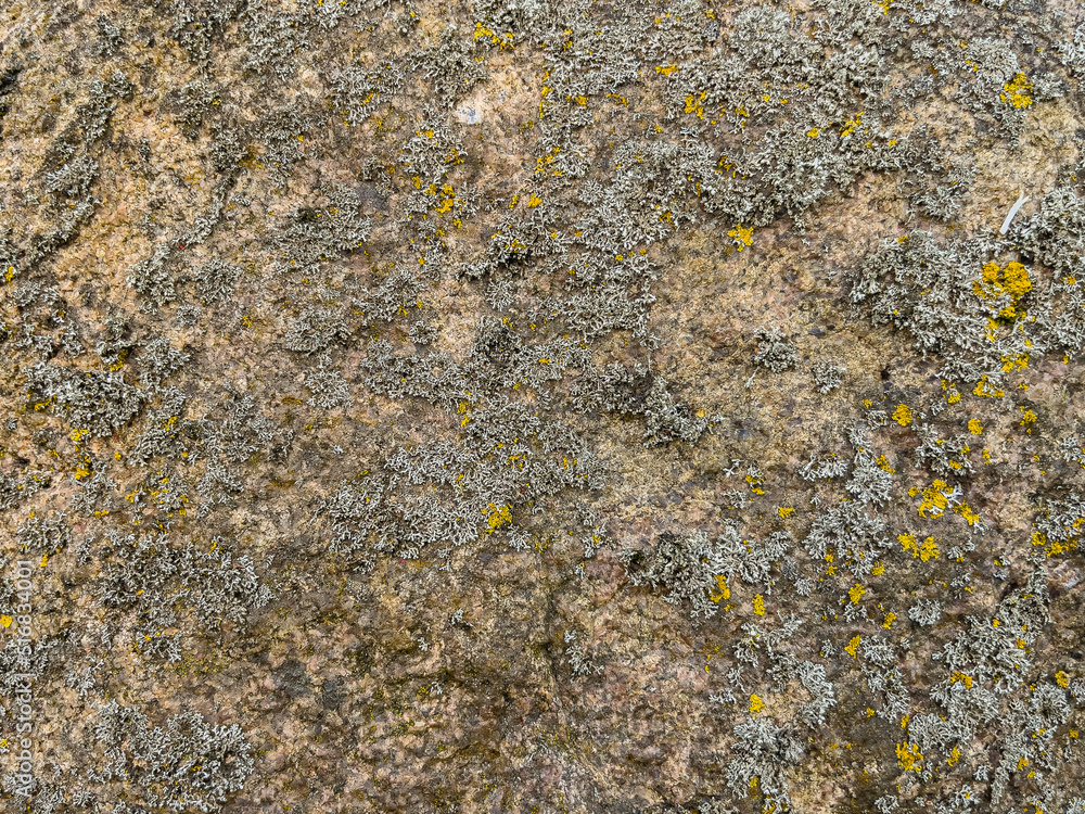 Rough stone surface from close with coloured moss texture and natural patterns in detail Rough stone surface from close with coloured moss texture and natural patterns in detail