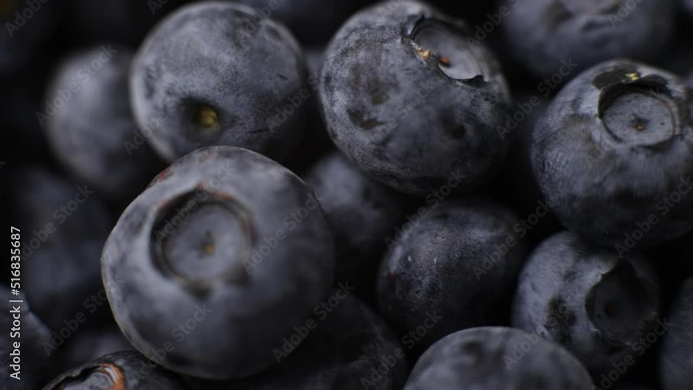 blueberry berries closeup background for cooking fruits summer blueberry berries closeup background for cooking fruits summer