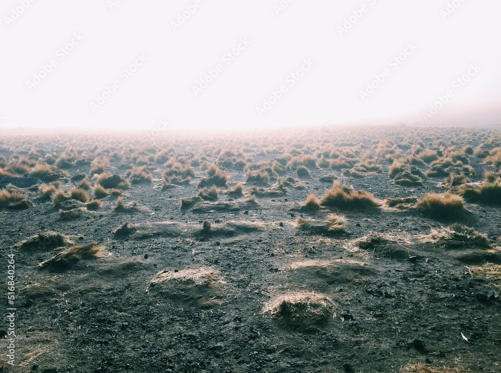 Fototapeta premium Geisers del tatio
