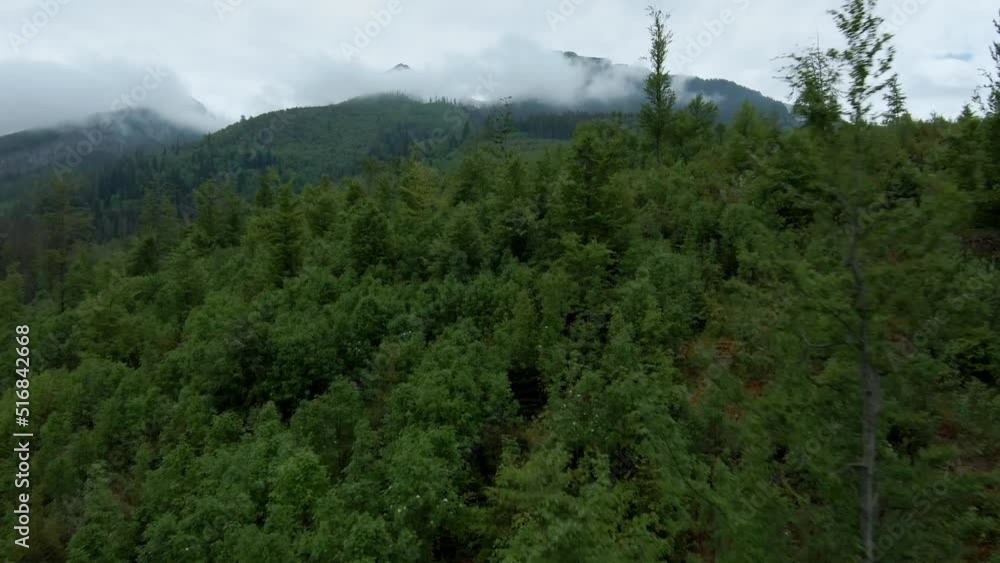 Aerial view of a mountain landscape - a forest on the slopes of the mountains, the tops in the fog. Tatra Mountains, Slovakia Aerial view of a mountain landscape - a forest on the slopes of the mountains, the tops in the fog. Tatra Mountains, Slovakia