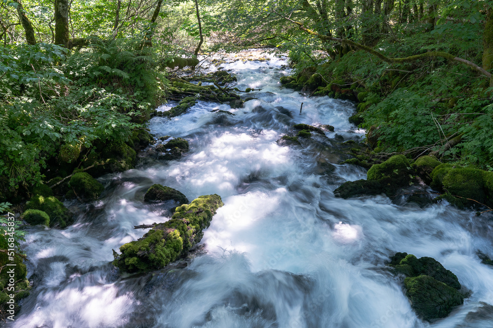 Cascade river in Montenegro.