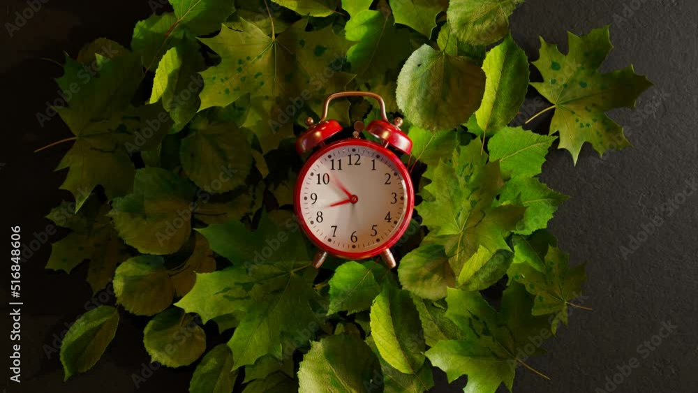 The old clock's hands spin and leaves change colour from green into orange.