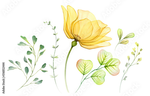 Watercolor floral set. Collection of yellow transparent rose, leaves and branches. Hand painted isolated design elements. Botanical illustration for summer wedding design, greeting cards © Katerina Kolberg