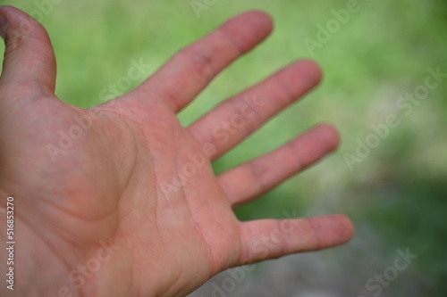 Ręka dłonie człowieka © Marek