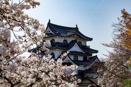 japanese castle among cherry blossoms in the spring