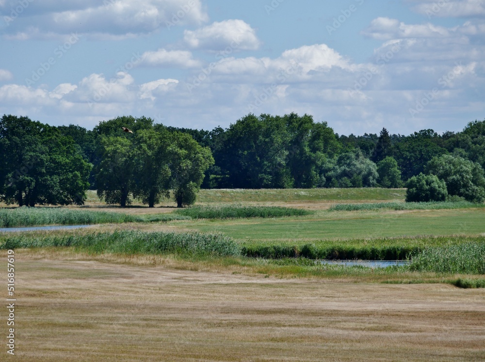 Fototapeta premium Elbtalauen im Wendland