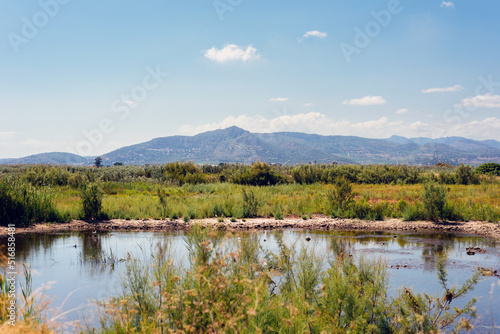 photo of a pond in a bird sanctuary against the backdrop of mountains on a clear sunny day