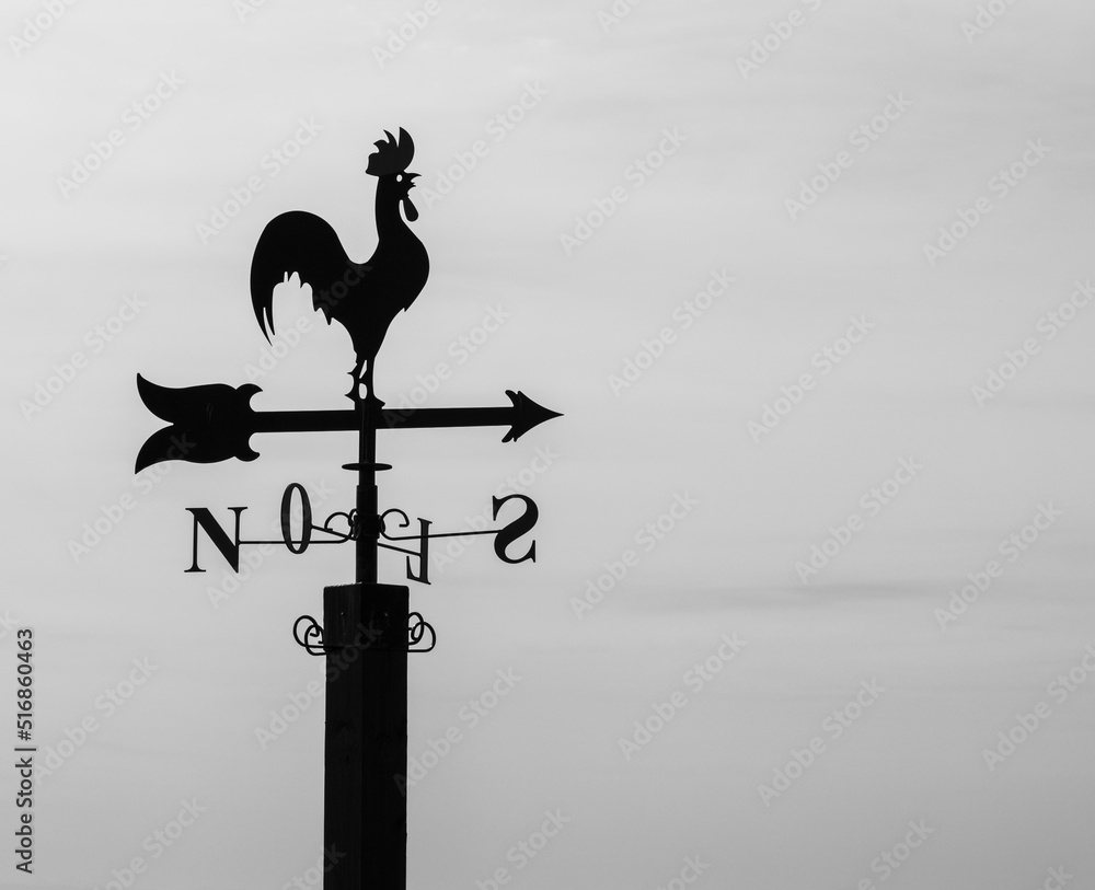Silhouette of the rooster of the winds and the rose of the winds. Silhouette of the rooster of the winds and the rose of the winds.