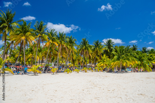 White sand beach with cocos palms, Isla Mujeres island, Caribbean Sea, Cancun, Yucatan, Mexico