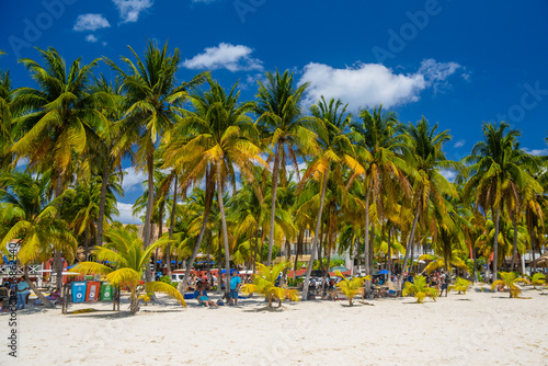 White sand beach with cocos palms, Isla Mujeres island, Caribbean Sea, Cancun, Yucatan, Mexico © Eagle2308