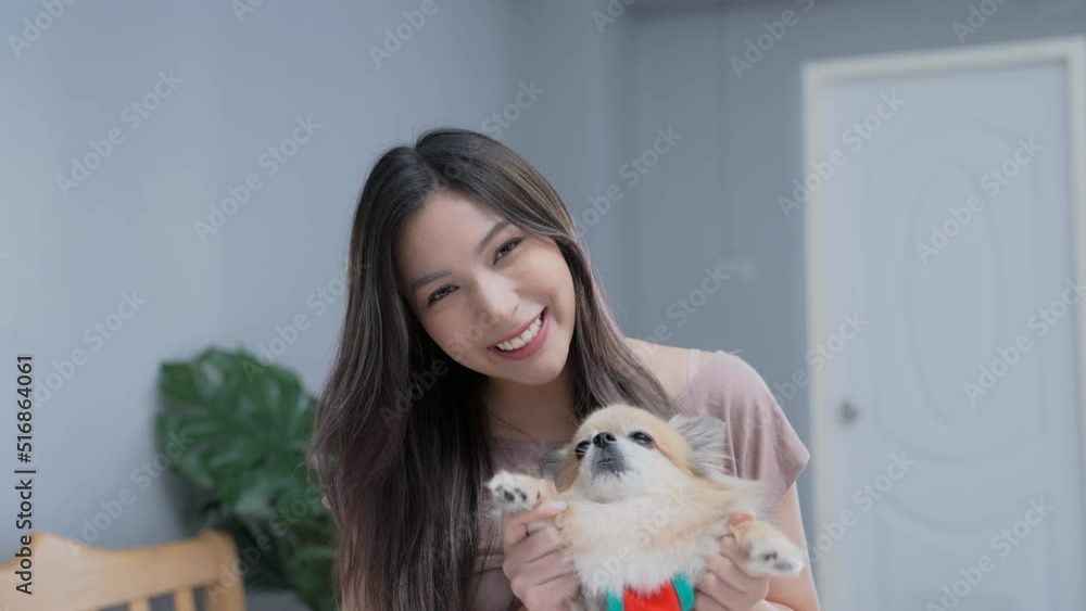 Holiday concept of 4k Resolution. An Asian woman giving an interview at her home. Talking about raising a dog inside the house. Holiday concept of 4k Resolution. An Asian woman giving an interview at her home. Talking about raising a dog inside the house.