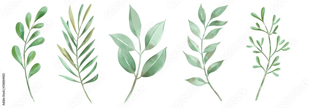 Fototapeta premium Set of watercolor leaves and branches lovely design elements to create your own layouts, honors and elements. Nice for a wedding or invitation.