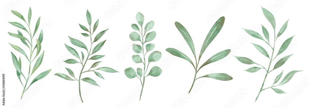 Set of watercolor leaves and branches lovely design elements to create your own layouts, honors and elements. Nice for a wedding or invitation. Set of watercolor leaves and branches lovely design elements to create your own layouts, honors and elements. Nice for a wedding or invitation.
