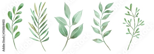 Set of watercolor leaves and branches lovely design elements to create your own layouts  honors and elements. Nice for a wedding or invitation.