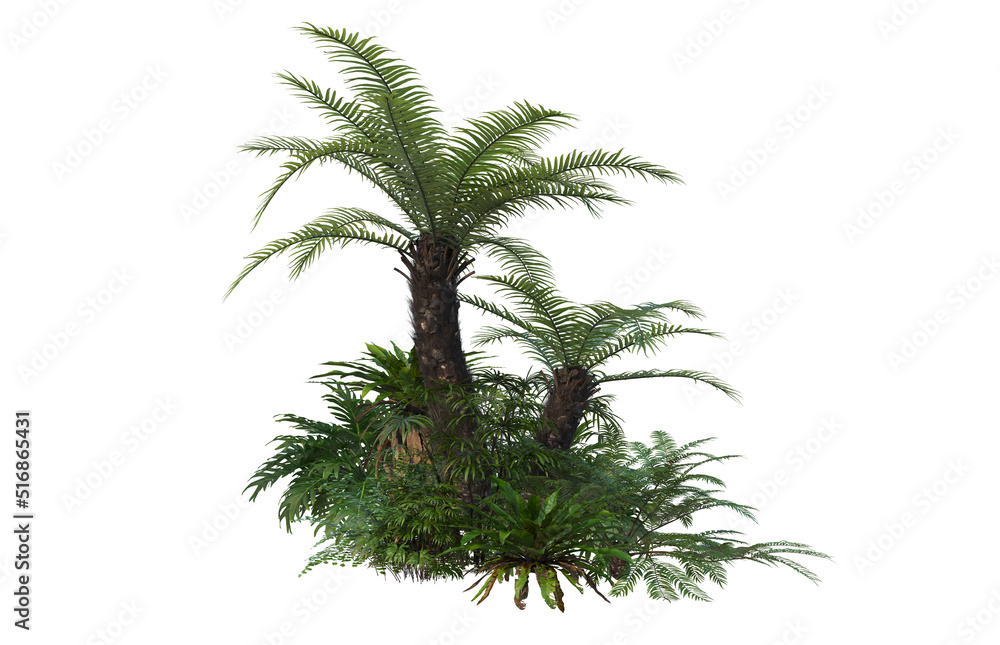 Fototapeta premium Tropical plants on a white background
