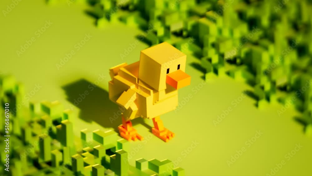 Looping Chicken Voxel cute chicken Walking cycle on a grassy field. Seamless looping ...