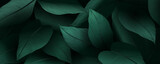 Luxury dark green art background with tropical leaves. Vector botanical banner for print design, decor, wallpaper, interior design.