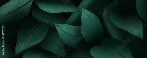 Leinwand Poster Luxury dark green art background with tropical leaves