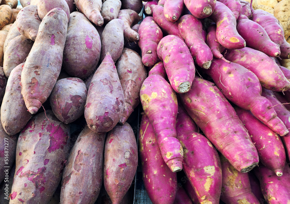 fresh sweet potatoes sold at street fair fresh sweet potatoes sold at street fair
