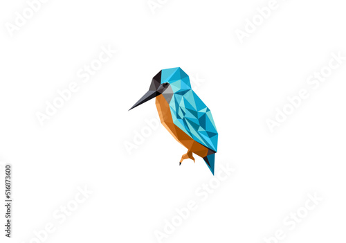 king fisher bird polygon