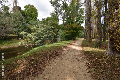 Park alongside Ovens River at Bright