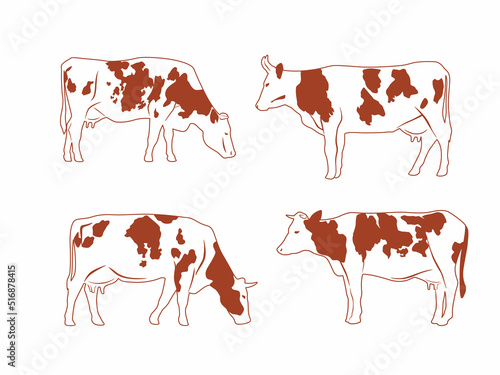 A set of different cows. Spotted cows graze. Vector monochrome graphics for packaging. Dairy theme