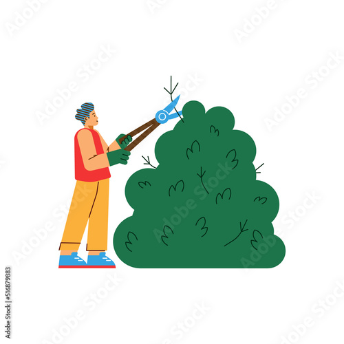 Male gardener cuts the bush flat cartoon vector illustration isolated on white.
