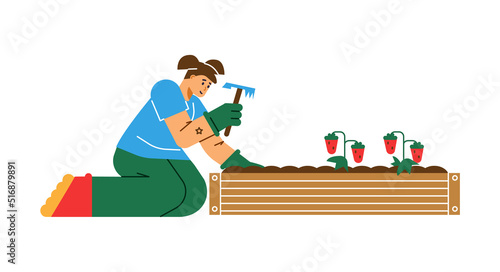 Young woman sitting on knees caring for flower bed with red berries flat style