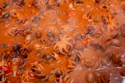 Baby Octopus , tomato sauce .Stewed octopus with tomatoes -Italian recipe called ,guazzetto, moscardini in umido ,octopus alla Luciana typical recipe of Neapolitan cuisine. photo