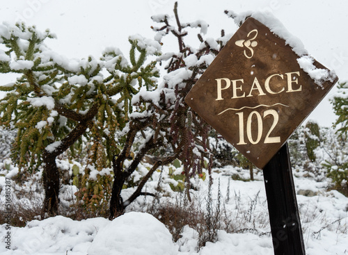 Peace - Southwest Desert Snow Scene