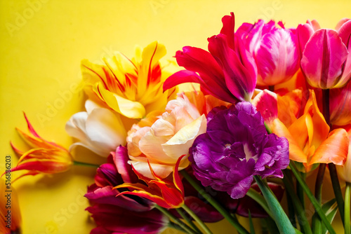 Fototapeta Naklejka Na Ścianę i Meble -  nice spring flowers - colorful tulips