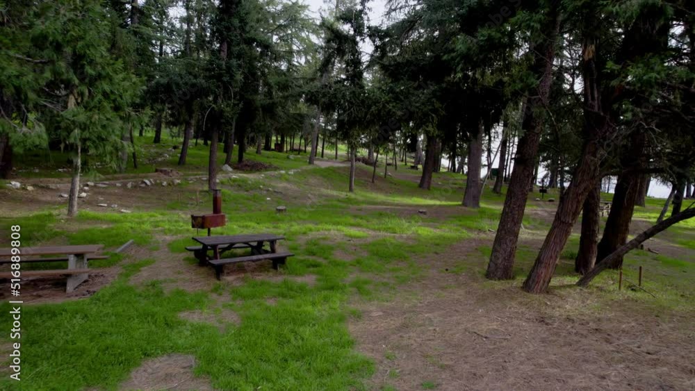 A drone shot of picnic tables in a dense forest at golden hour. A drone shot of picnic tables in a dense forest at golden hour.