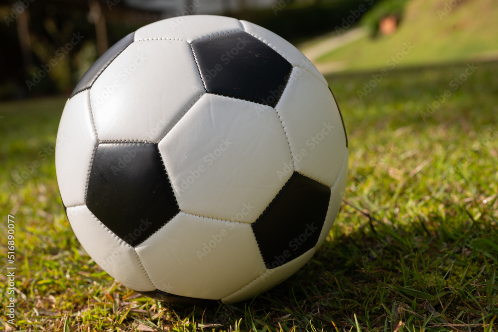 Fototapeta premium football soccer on grass