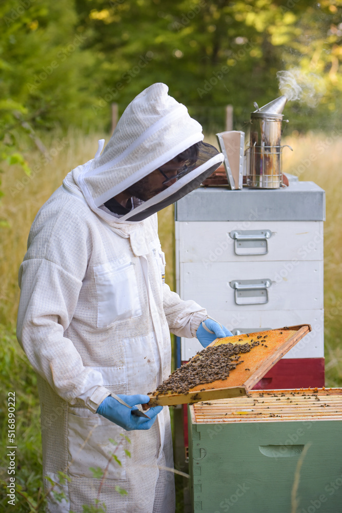 view on a beekeeper with his beehive view on a beekeeper with his beehive