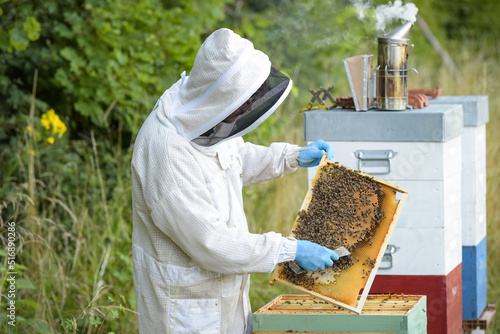 view on a beekeeper with his beehive