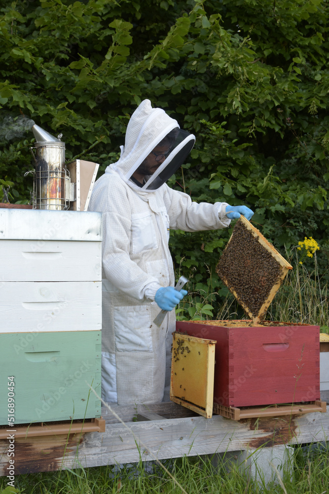 view on a beekeeper with his beehive view on a beekeeper with his beehive