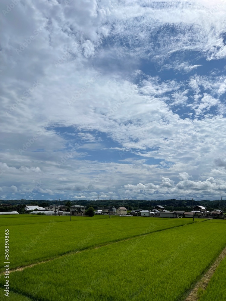 Fototapeta premium 栃木の空３