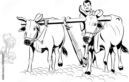 Farmer at work. in the farming area. cultivation land Indian farming site traditional farming style with cows. Indian village.