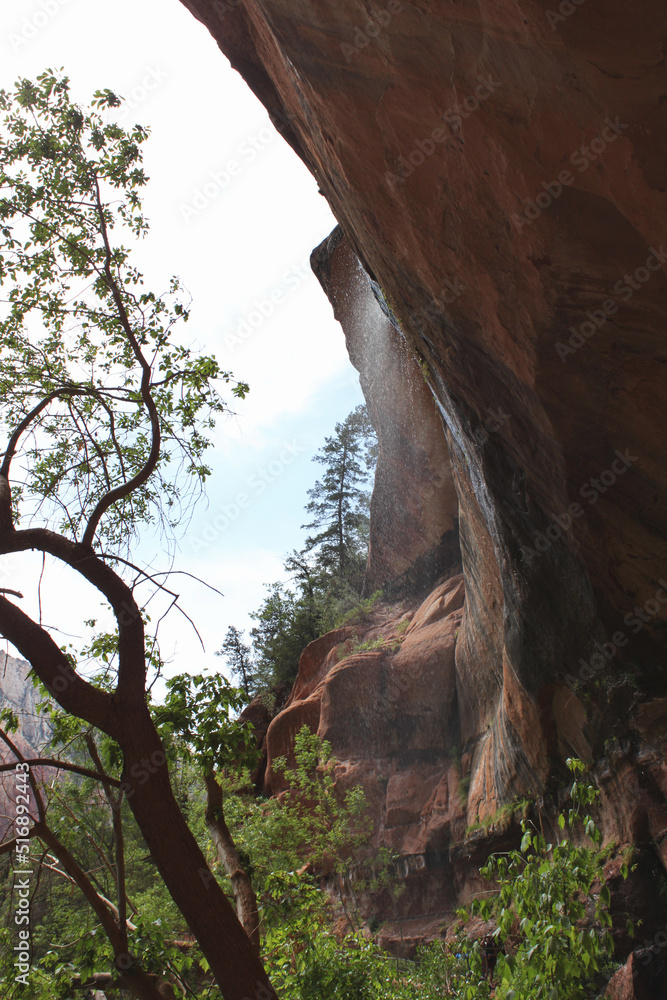 Obraz premium Waterfalls mist the hiking trail from rocky overhead within the natural canyon