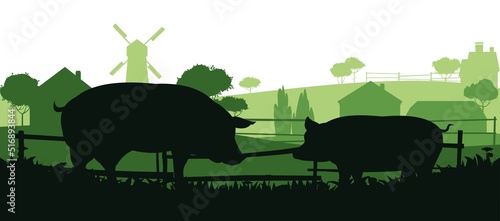 Pigs graze in pasture. Picture silhouette. Farm pets. Rural landscape with farmer house. Animals for meat and fat. Isolated on white background. Vector