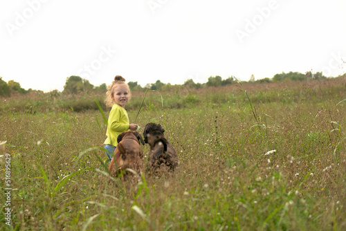 a little cheerful girl with two large dogs of the German boxer breed runs on the grass in the park. Friendship of children and pets of dogs