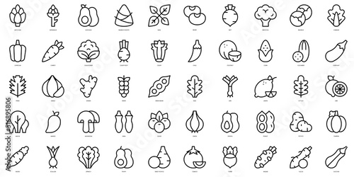 Set of thin line vegetables Icons. Vector illustration