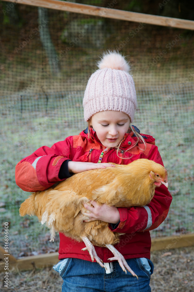 Girl with warm cloathing petting chicken Girl with warm cloathing petting chicken