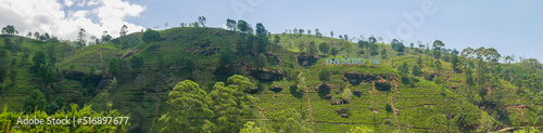 Nuwara Eliya, Sri Lanka - March 10, 2022: Panoramic view of the Damro tea plantations
