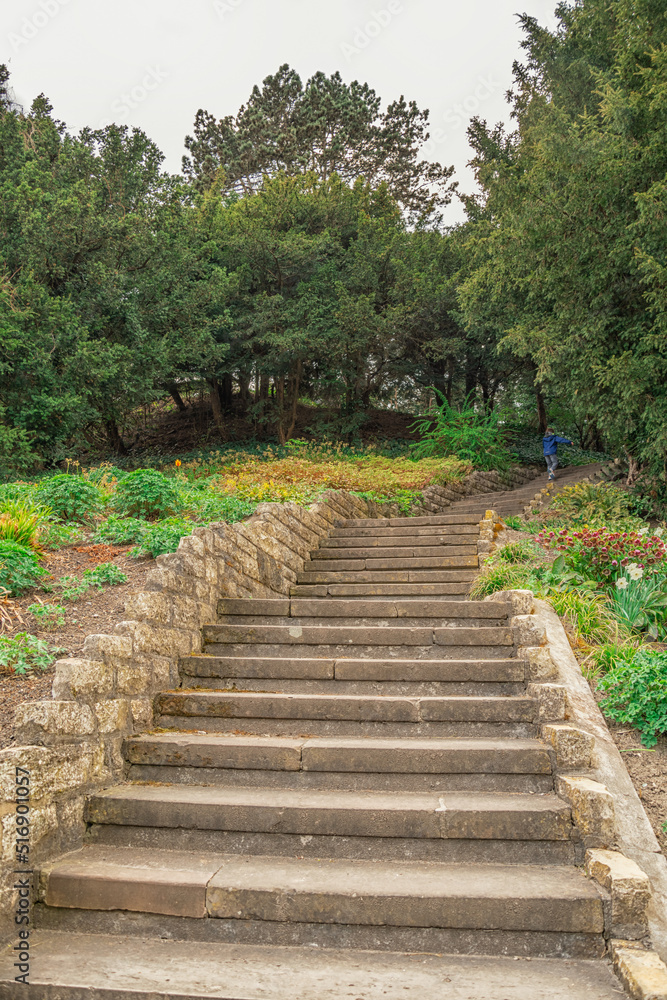 stairs in the park, summer view 