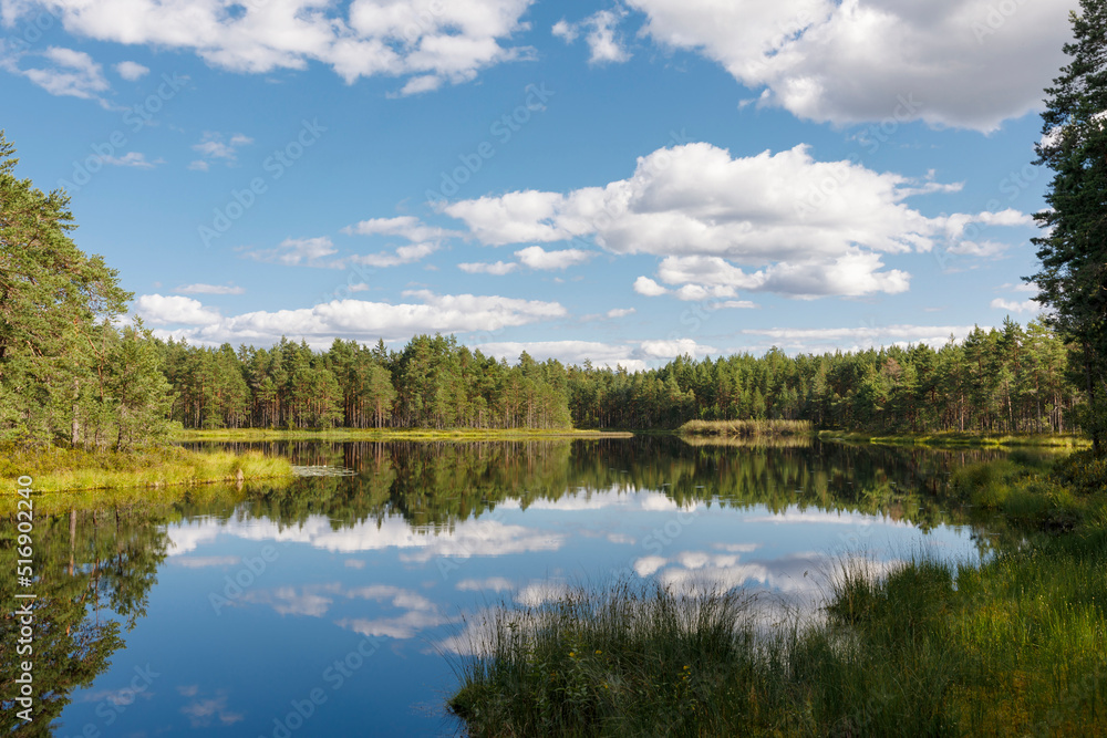 Forest and clouds reflected in lake Forest and clouds reflected in lake